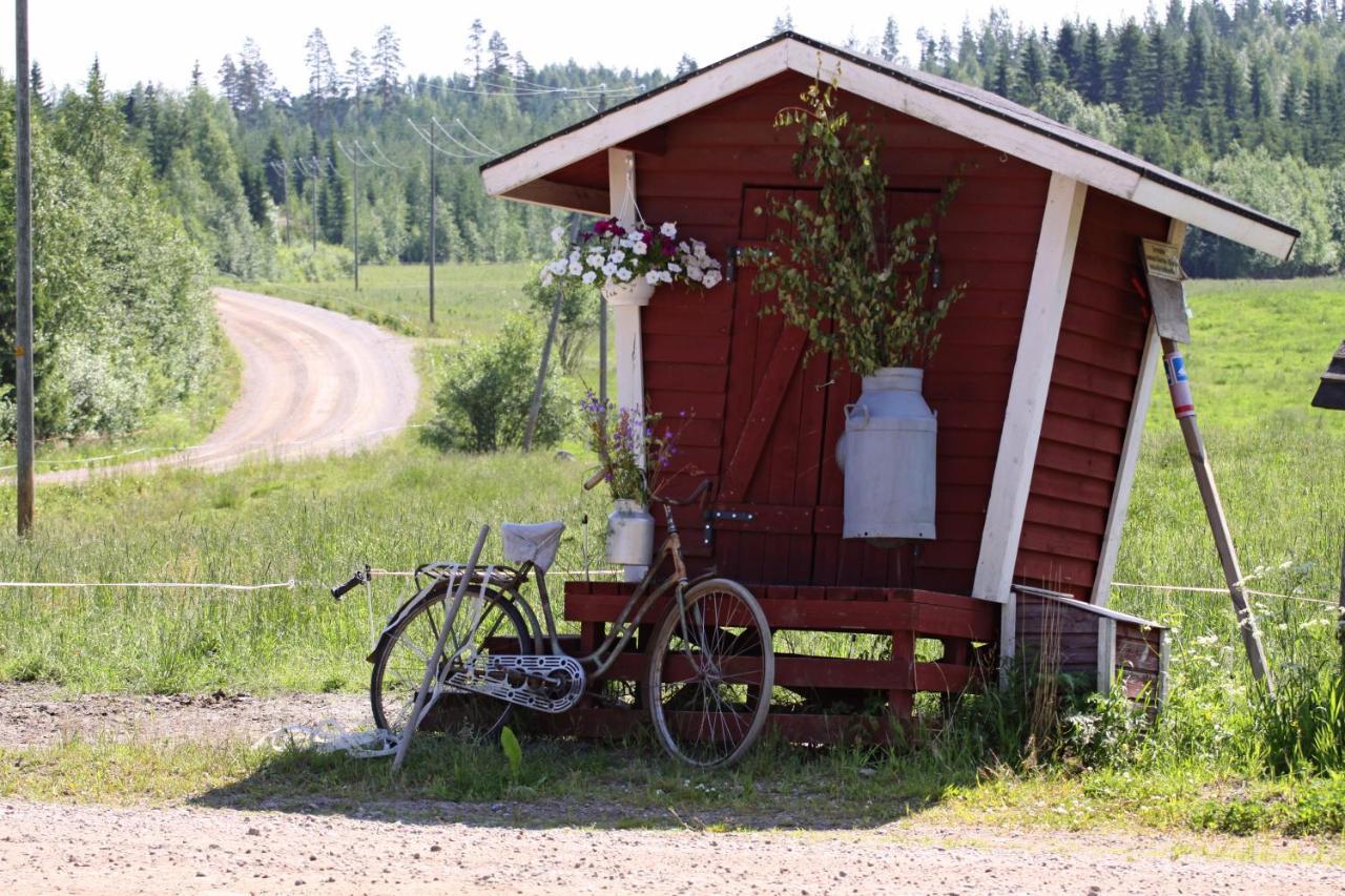 Maekelaen Lomatuvat Bed And Breakfast Korkeakoski (Western Finland) Exterior foto